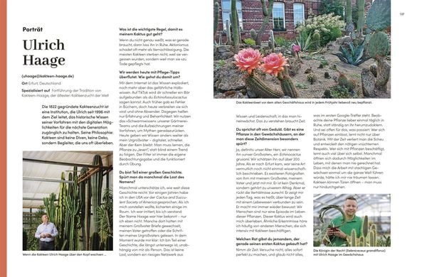 Produktbild: Kakteen und Sukkulenten