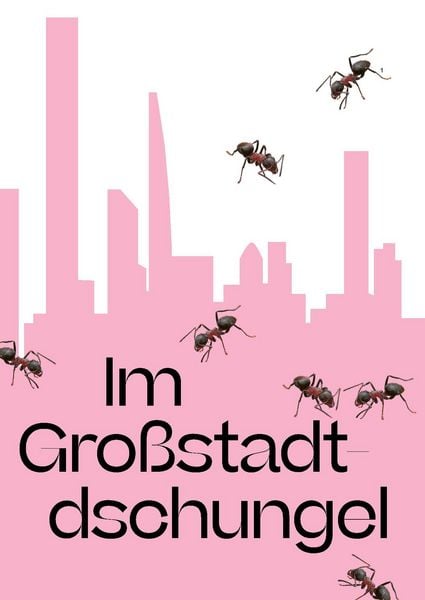 Produktbild: Stadt Natur Rechte