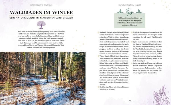 Produktbild: Zaubernuss und Waldmagie – Naturmomente für deine Seele
