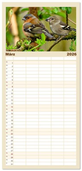 Produktbild: Familienplaner 2026 - Deutschlands Finken mit 5 Spalten (Wandkalender, 21 x 45 cm) CALVENDO