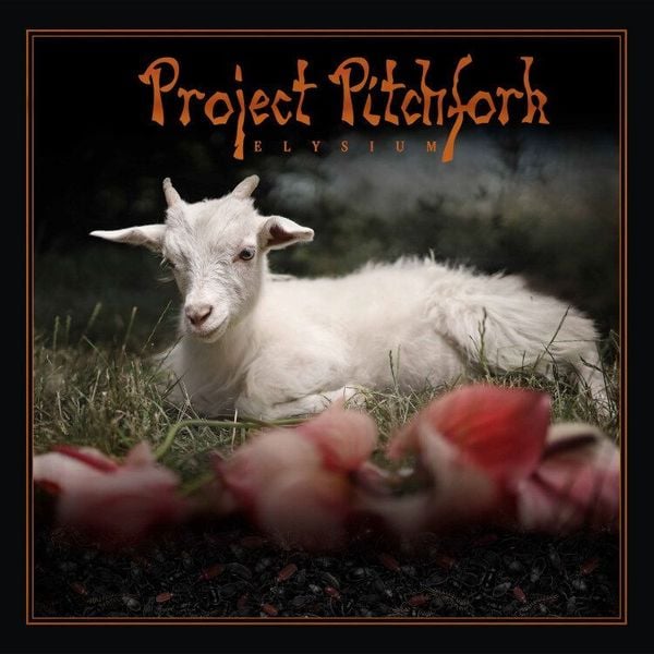 Produktbild: Project Pitchfork: Elysium