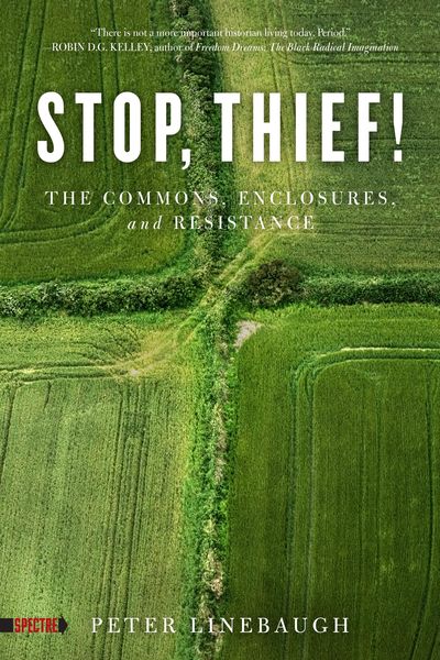 Produktbild: Stop, Thief!