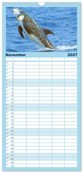 Produktbild: Familienplaner 2027 - Delfine: Elegante Wellenreiter mit 5 Spalten (Wandkalender, 21 x 45 cm) CALVENDO