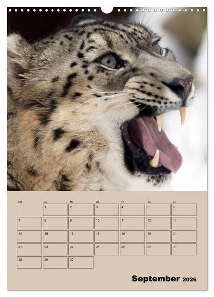 Produktbild: Gro&szlig;katzen. Raubkatzengesichter (Wandkalender 2026 DIN A3 hoch), CALVENDO Monatskalender