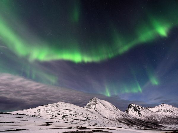 Produktbild: CALVENDO Puzzle Aurora Borealis: Polarlichter in Norwegen 1000 Teile Lege-Gr&ouml;&szlig;e 64 x 48 cm Foto-Puzzle Bild von Elmar Weiss