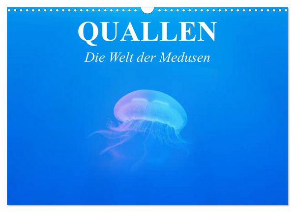 Produktbild: Quallen. Die Welt der Medusen (Wandkalender 2026 DIN A3 quer), CALVENDO Monatskalender