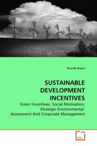 Braun, R: Sustainable Development Incentives, Taschenbuch von Ricardo Braun, VDM, 978-3-639-17633-9