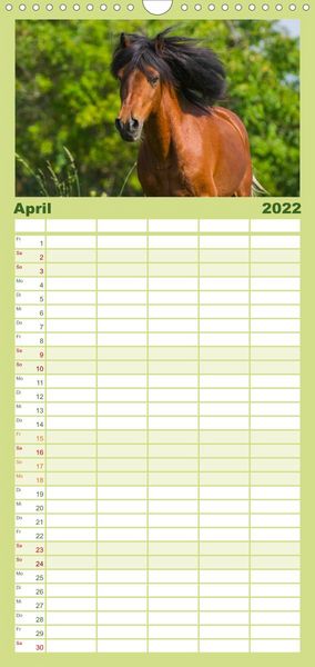Produktbild: Welt der Pferde - Familienplaner hoch (Wandkalender 2022 , 21 cm x 45 cm, hoch)
