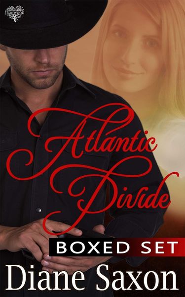 Produktbild: Atlantic Divide Boxed Sex