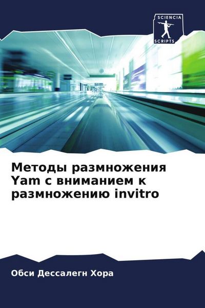 Produktbild: Metody razmnozheniq Yam s wnimaniem k razmnozheni&uuml; invitro