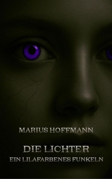 Produktbild: Die Lichter