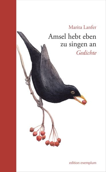 Produktbild: Amsel hebt eben zu singen an