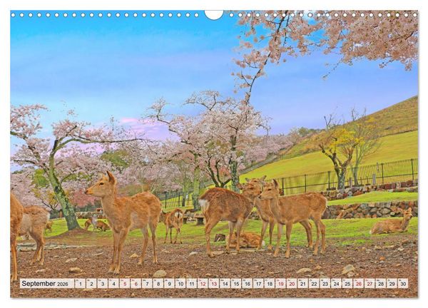 Produktbild: Japan das Land der aufgehenden Sonne (Wandkalender 2026 DIN A3 quer), CALVENDO Monatskalender