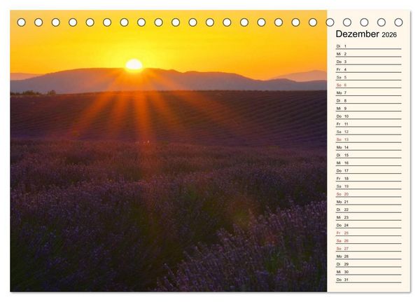 Produktbild: Lavendel (Tischkalender 2026 DIN A5 quer), CALVENDO Monatskalender