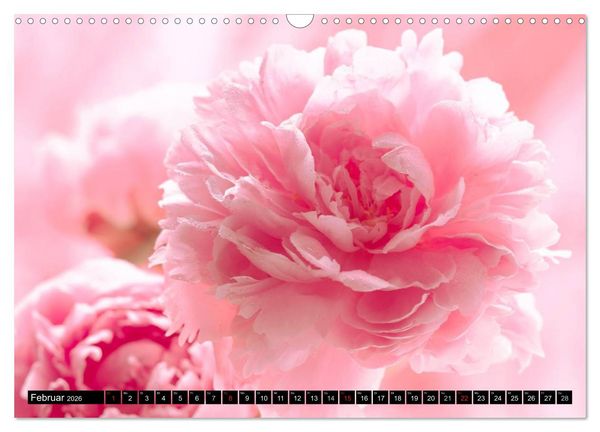 Produktbild: Flowers / 2026 (Wandkalender 2026 DIN A3 quer), CALVENDO Monatskalender
