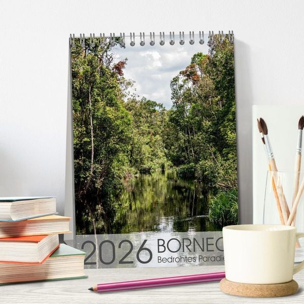 Produktbild: BORNEO Bedrohtes Paradies (Tischkalender 2026 DIN A5 hoch), CALVENDO Monatskalender