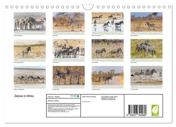 Produktbild: Zebras in Afrika (Wandkalender 2026 DIN A4 quer), CALVENDO Monatskalender