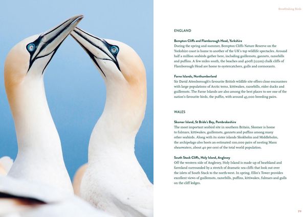 Produktbild: The Nature Lover's Bucket List