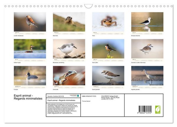 Produktbild: Esprit animal - Regards minimalistes (Calendrier mural 2026 DIN A3 vertical), CALVENDO calendrier mensuel