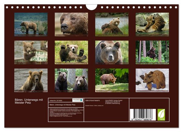 Produktbild: B&auml;ren. Unterwegs mit Meister Petz (Wandkalender 2026 DIN A4 quer), CALVENDO Monatskalender