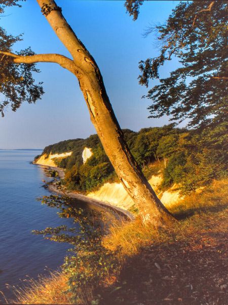 Produktbild: CALVENDO Puzzle Aus dem Kalender MECKLENBURG-VORPOMMERN.Du bist so sch&ouml;n - Hochformat | 1000 Teile Lege-Gr&ouml;&szlig;e 64x48cm Foto-Puzzle f&uuml;r gl&uuml;ckliche Stunden