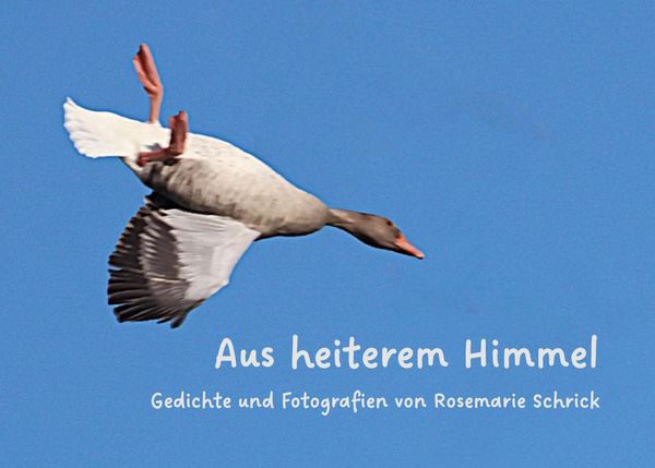 Produktbild: Aus heiterem Himmel