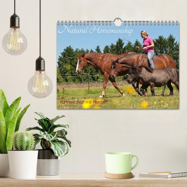 Produktbild: Natural Horsemanship - Partnerschaft mit Pferden (Wandkalender 2026 DIN A4 quer), CALVENDO Monatskalender