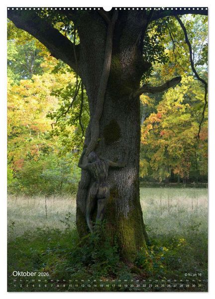 Produktbild: Die Eichen und Feen von Wildenstein (hochwertiger Premium Wandkalender 2026 DIN A2 hoch), Kunstdruck in Hochglanz
