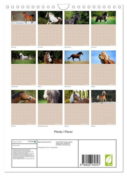 Produktbild: Pferde / Planer (Wandkalender 2026 DIN A4 hoch), CALVENDO Monatskalender