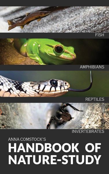 Produktbild: The Handbook Of Nature Study in Color - Fish, Reptiles, Amphibians, Invertebrates