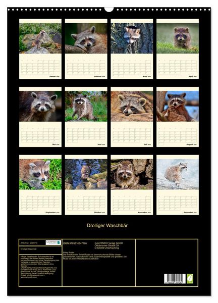 Produktbild: Drolliger Waschb&auml;r (Wandkalender 2026 DIN A2 hoch), CALVENDO Monatskalender