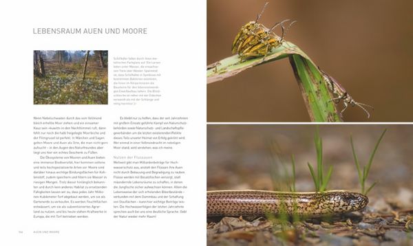 Produktbild: Verborgene Wildnis Bayern