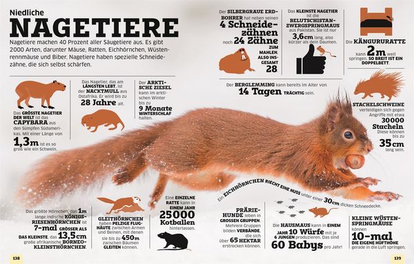Produktbild: Unsere Welt in Zahlen. Tiere