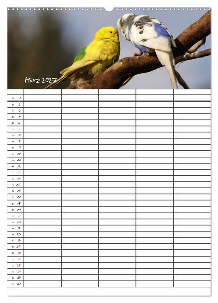 Produktbild: Wellensittiche (Wandkalender 2027 DIN A2 hoch), CALVENDO Monatskalender