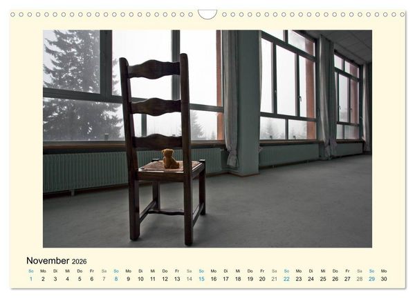 Produktbild: Herr B&auml;r urban explorer (Wandkalender 2026 DIN A3 quer), CALVENDO Monatskalender