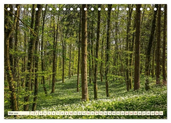 Produktbild: Hegau und Bodensee - Lieblingsorte entdecken (Tischkalender 2026 DIN A5 quer), CALVENDO Monatskalender