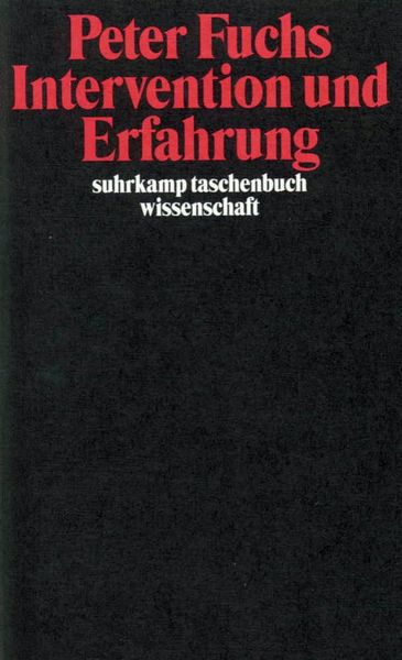 Produktbild: Intervention und Erfahrung