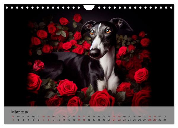 Produktbild: Black is beautiful (Wandkalender 2026 DIN A4 quer), CALVENDO Monatskalender