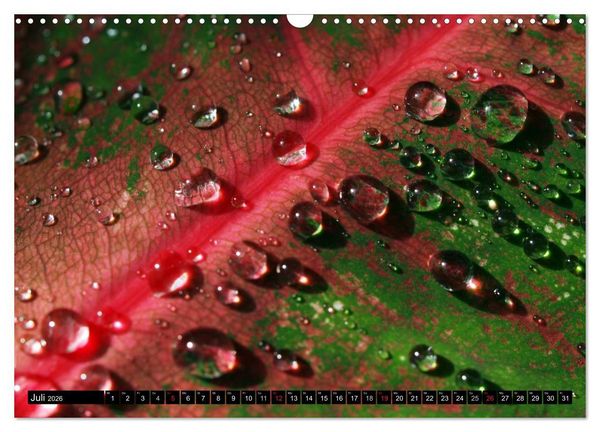 Produktbild: Wassertropfen - Diamanten des Lebens (Wandkalender 2026 DIN A3 quer), CALVENDO Monatskalender