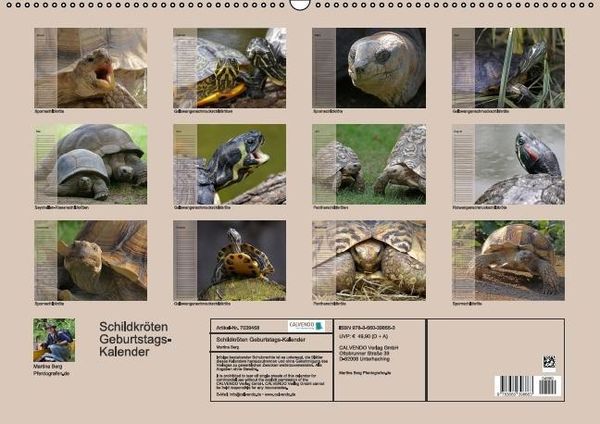 Produktbild: Schildkr&ouml;ten Geburtstagskalender (Wandkalender immerw&auml;hrend DIN A2 quer)