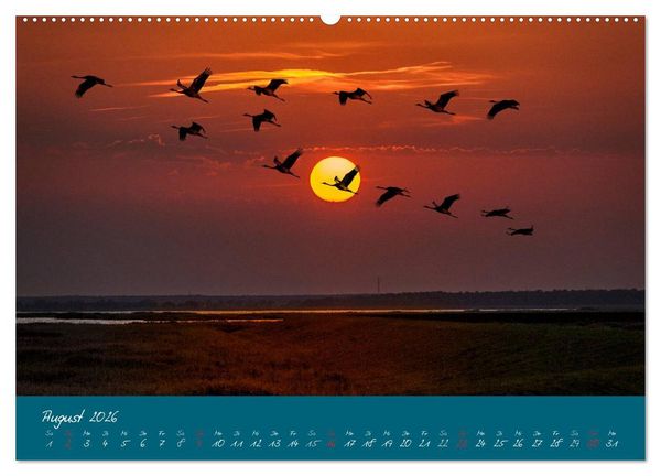 Produktbild: Blick auf die Halbinsel Fischland, Dar&szlig; und Zingst (hochwertiger Premium Wandkalender 2026 DIN A2 quer), Kunstdruck in Hochglanz