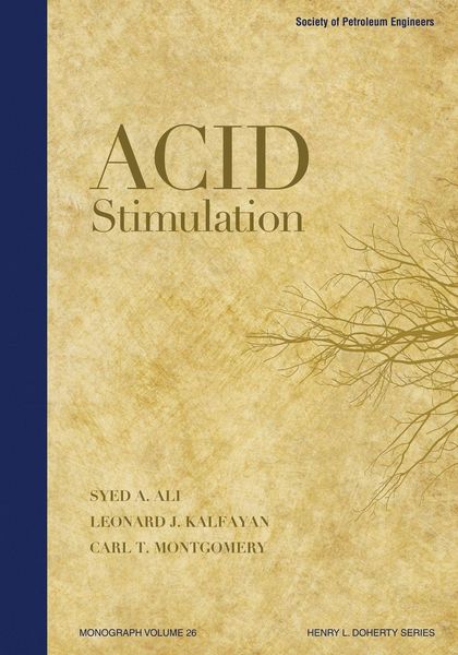 Produktbild: Acid Stimulation