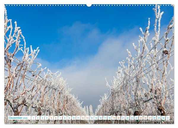 Produktbild: Freinsheim - So Wunderbar (Wandkalender 2026 DIN A2 quer), CALVENDO Monatskalender
