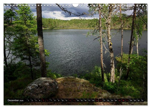 Produktbild: Tiveden, der NatURWALD in Schweden (Wandkalender 2026 DIN A3 quer), CALVENDO Monatskalender