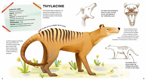 Produktbild: Weird and Wonderful Extinct Animals