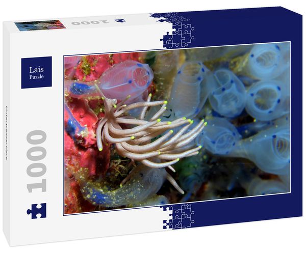 Produktbild: Lais Puzzle Unterwassertiere 1000 Teile