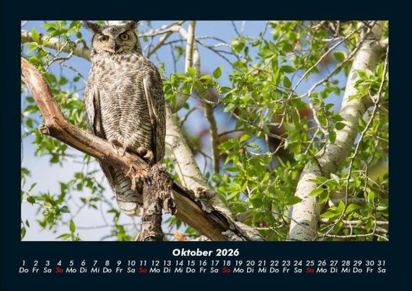 Produktbild: B&auml;ume 2026 Fotokalender DIN A4