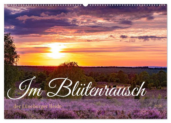 Produktbild: Im Bl&uuml;tenrausch der L&uuml;neburger Heide (Wandkalender 2026 DIN A2 quer), CALVENDO Monatskalender