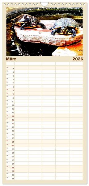 Produktbild: Familienplaner 2026 - Schmuckschildkr&ouml;ten - Schmuckst&uuml;cke der Natur mit 5 Spalten (Wandkalender, 21 x 45 cm) CALVENDO