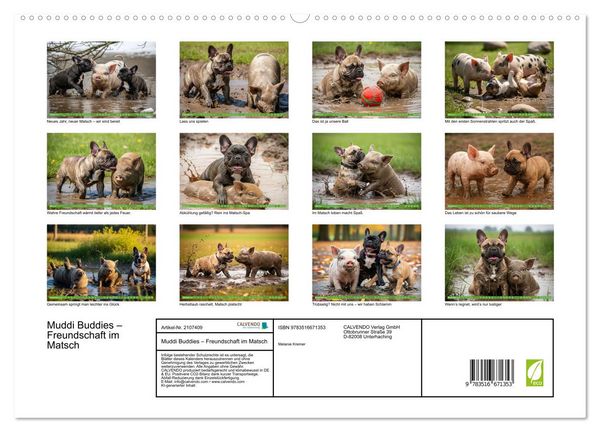 Produktbild: Muddi Buddies &ndash; Freundschaft im Matsch (hochwertiger Premium Wandkalender 2026 DIN A2 quer), Kunstdruck in Hochglanz